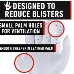 FRANKLIN POWERSTRAP CHROME BATTING GLOVE ADULT -Outlet sportwheels Store image 5897