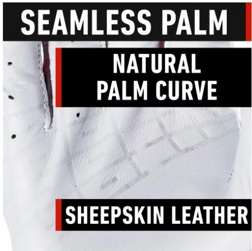 FRANKLIN POWERSTRAP CHROME BATTING GLOVE ADULT -Outlet sportwheels Store image 5899