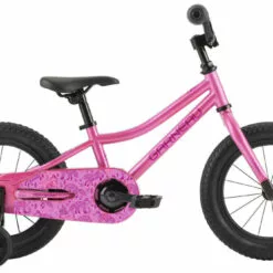 2021 LOUIS GARNEAU F-14