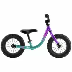 2021 LOUIS GARNEAU F-UN RUN BIKE TURQ/PURP