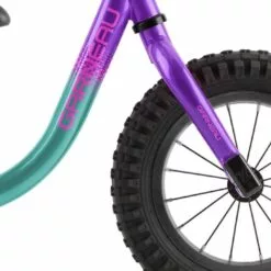 2021 LOUIS GARNEAU F-UN RUN BIKE TURQ/PURP -Outlet sportwheels Store image 6312